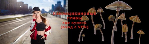 стафф Няндома