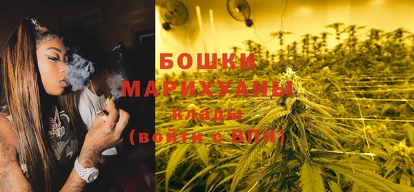стафф Няндома