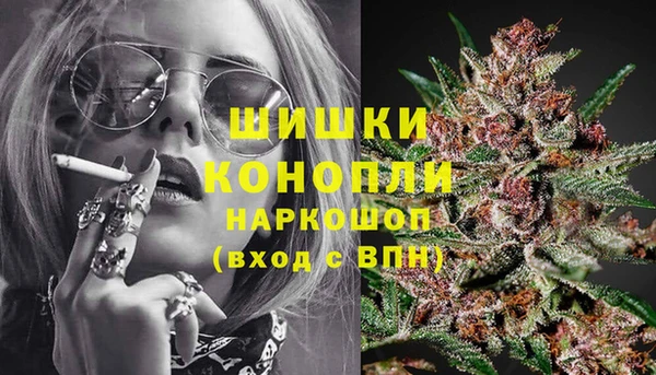 стафф Няндома