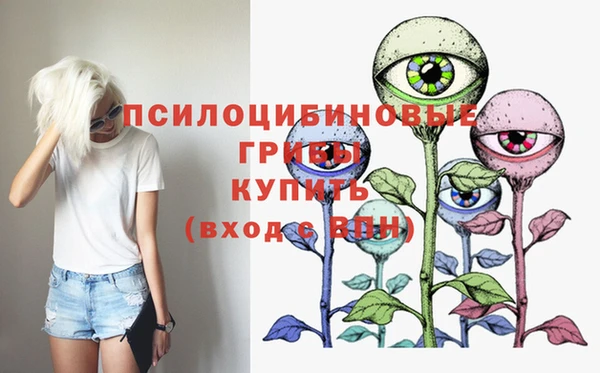 стафф Няндома