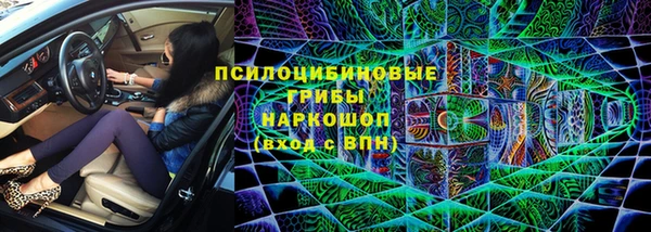 стафф Няндома